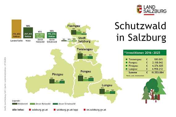 Mehr als die Hälfte des Salzburger Waldes ist Schutzwald. Der Pinzgau hat den größten Schutzwaldanteil im Bundesland.