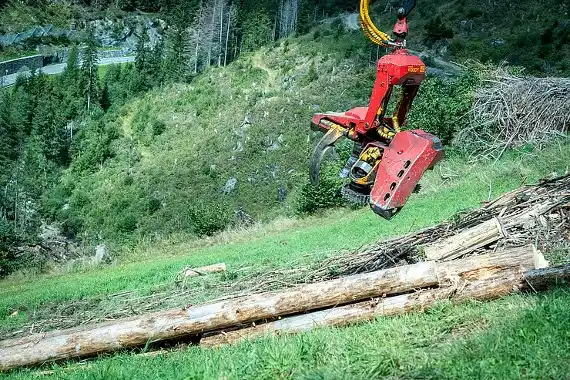 Der Vigeinwald zeigt besonders deutlich, dass die Wiederherstellung der Schutzwirkung nur gemeinsam gelingen kann.