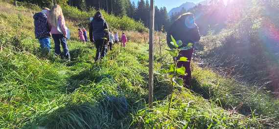 Schutzwaldpatenschaft VS Bad Goisern - Besuch der im letzten Jahr gepflanzten Bäumchen