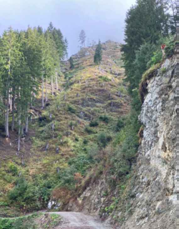 Nach dem Sturm wächst neue Sicherheit