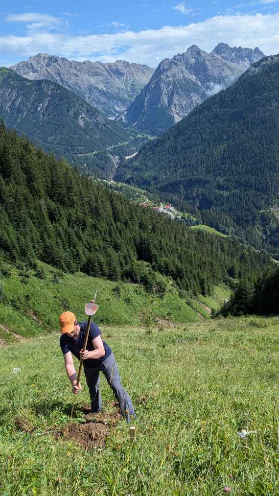 BERGAUF – Aufforstung, Klimawandel und Biodiversität im alpinen Raum