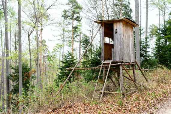 Hochstand im Wald der Zukunft