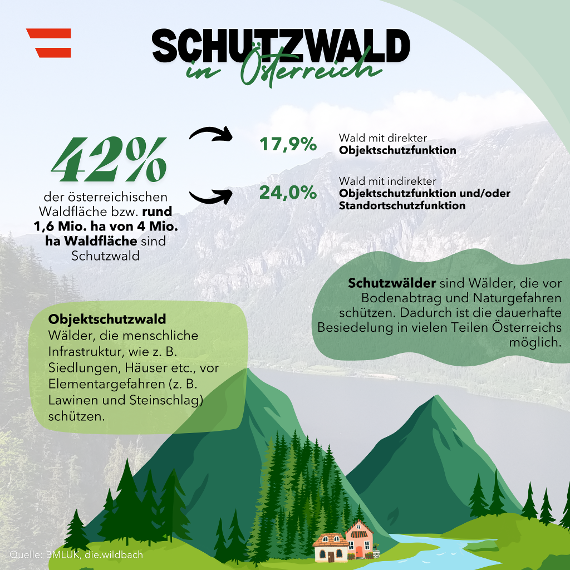 Schutzwald in Österreich - Fakten und Zahlen 