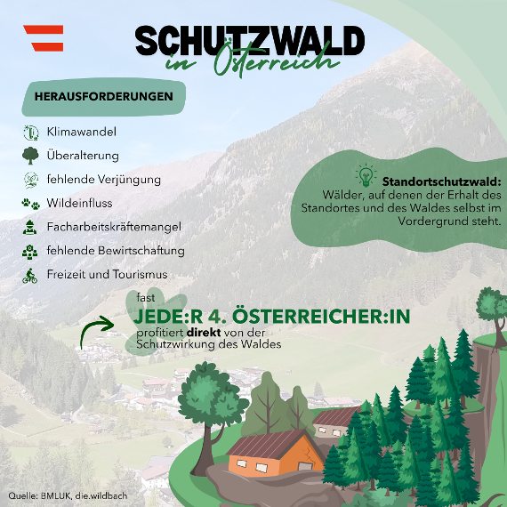 Schutzwald in Österreich - Fakten und Zahlen 