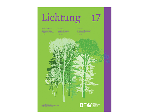 Magazin Lichtung 17
