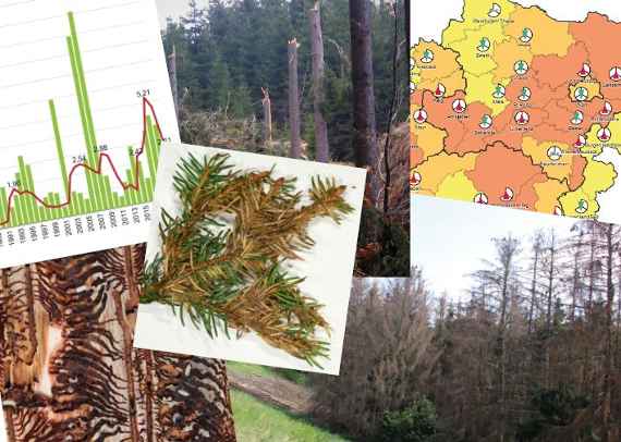 Dokumentation der Waldschädigungsfaktoren