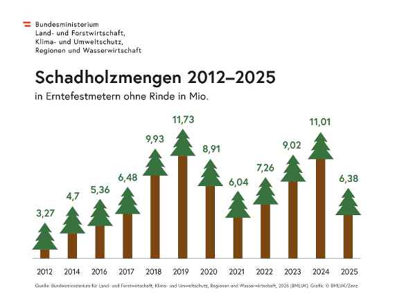 Holzeinschlagsmeldung 2025 - Rückgang beim Schadholz und Gesamteinschlag 