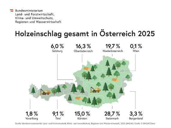 Holzeinschlagsmeldung 2025 - Rückgang beim Schadholz und Gesamteinschlag 