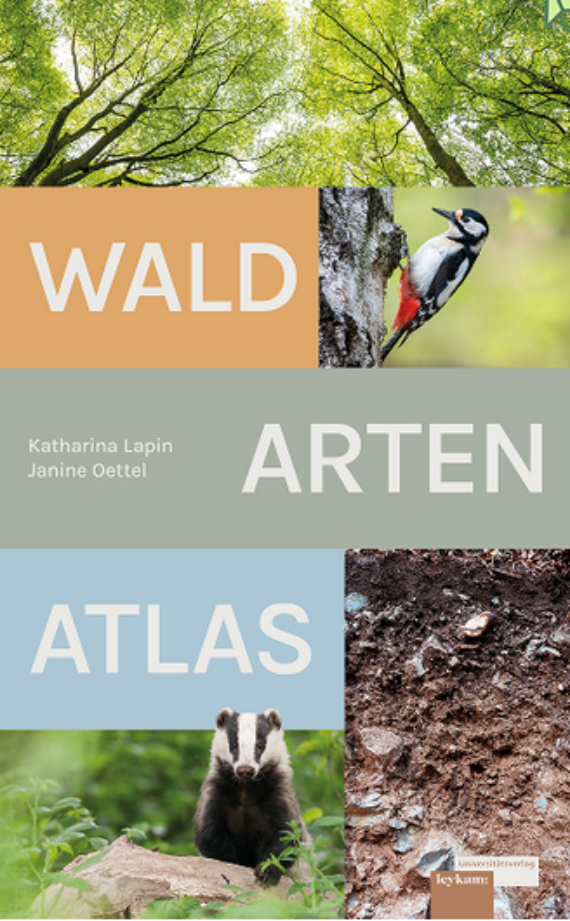 Neuerscheinung: Waldartenatlas – ein vielschichtiger Blick auf den Wald