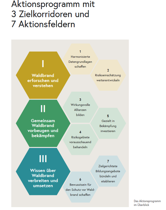 Das Aktionsprogramm im Überblick
