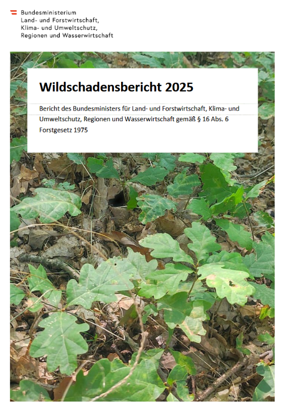 Wildschadensbericht 2025