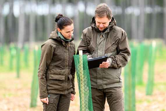 Woche des Waldes 2026: Wald und Wirtschaft 