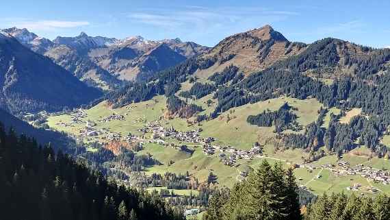 Schutzwald-Aktivitäten - Rückblick