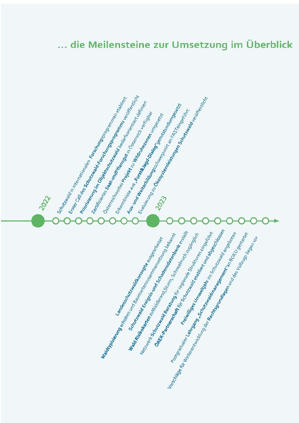 Umsetzung