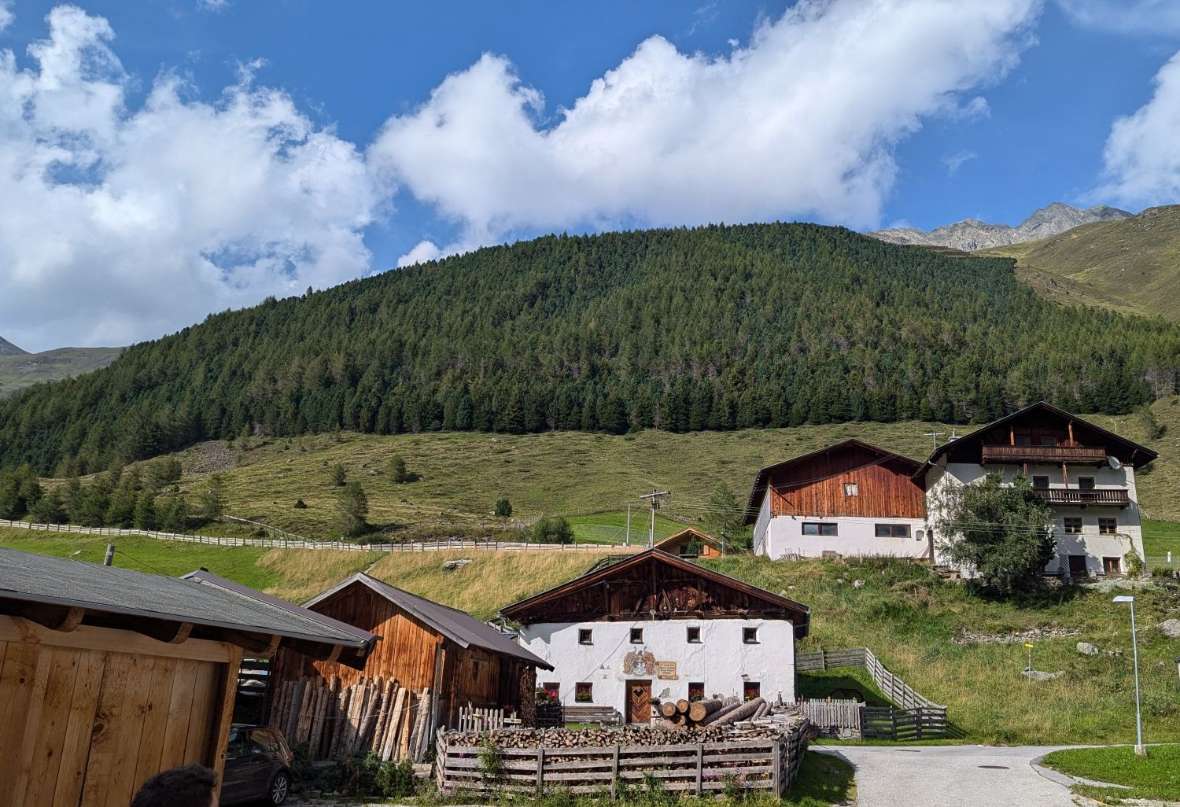 Hochlagenaufforstung Haggen