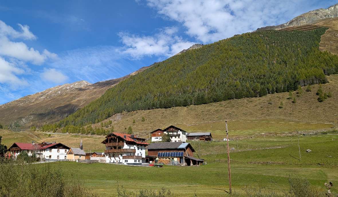 Hochlagenaufforstung Haggen