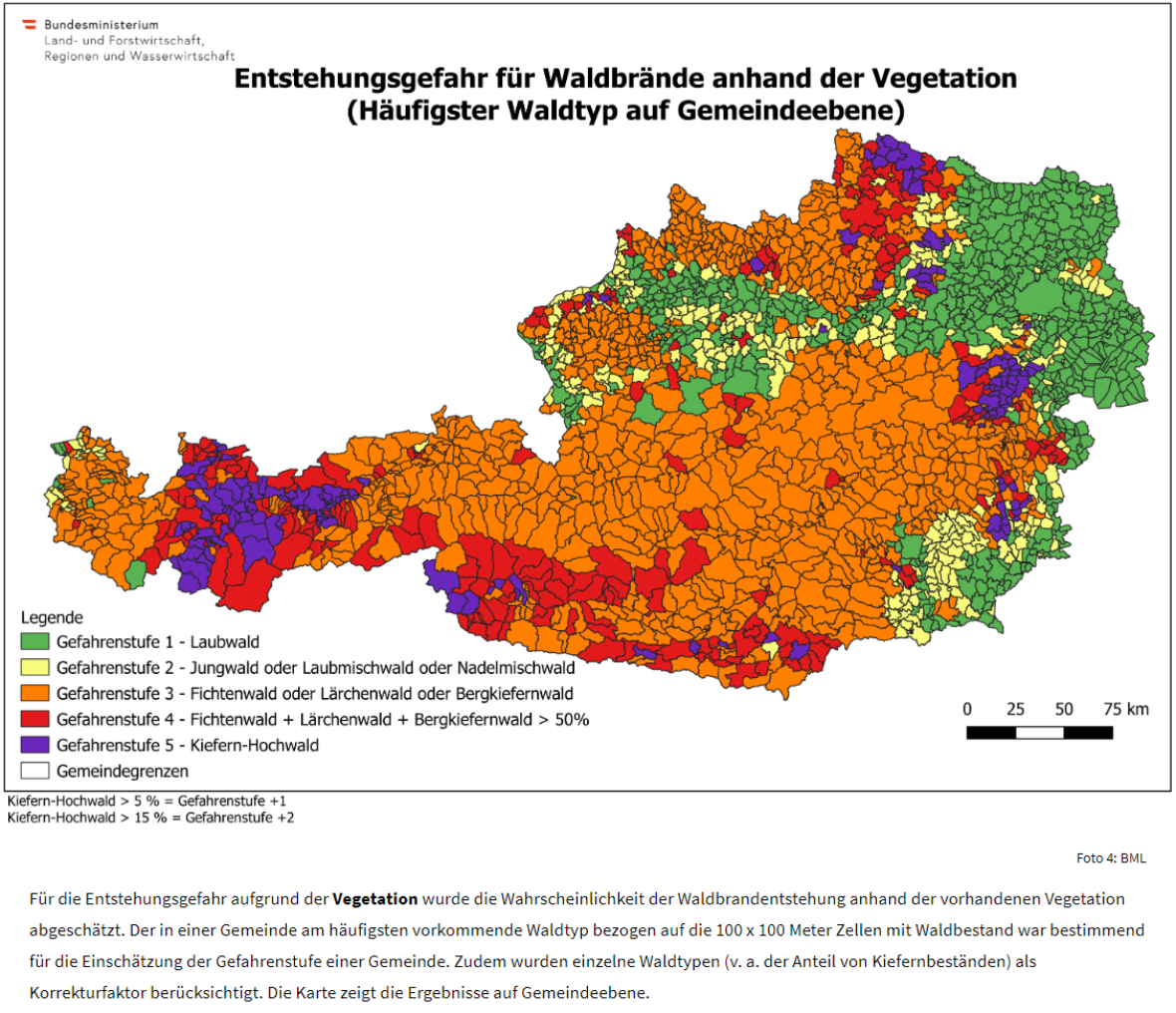 Die Entstehungsgefahr aufgrund der Vegetation