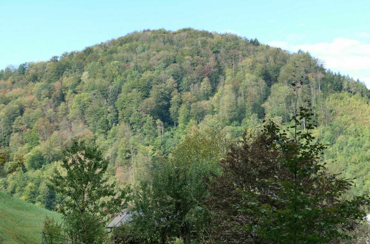 Schutzwald als Lebensgrundlage
