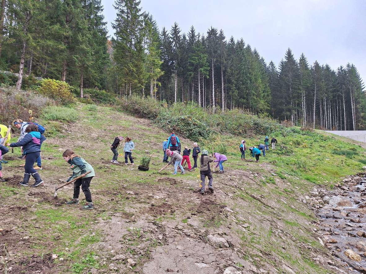 Aufforstungsaktion VS Goisern Aufforstungsaktion VS Goisern
