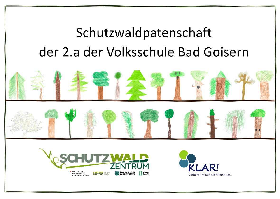 Schutzwaldpatenschaft VS Bad Goisern Schutzwaldpatenschaft VS Bad Goisern