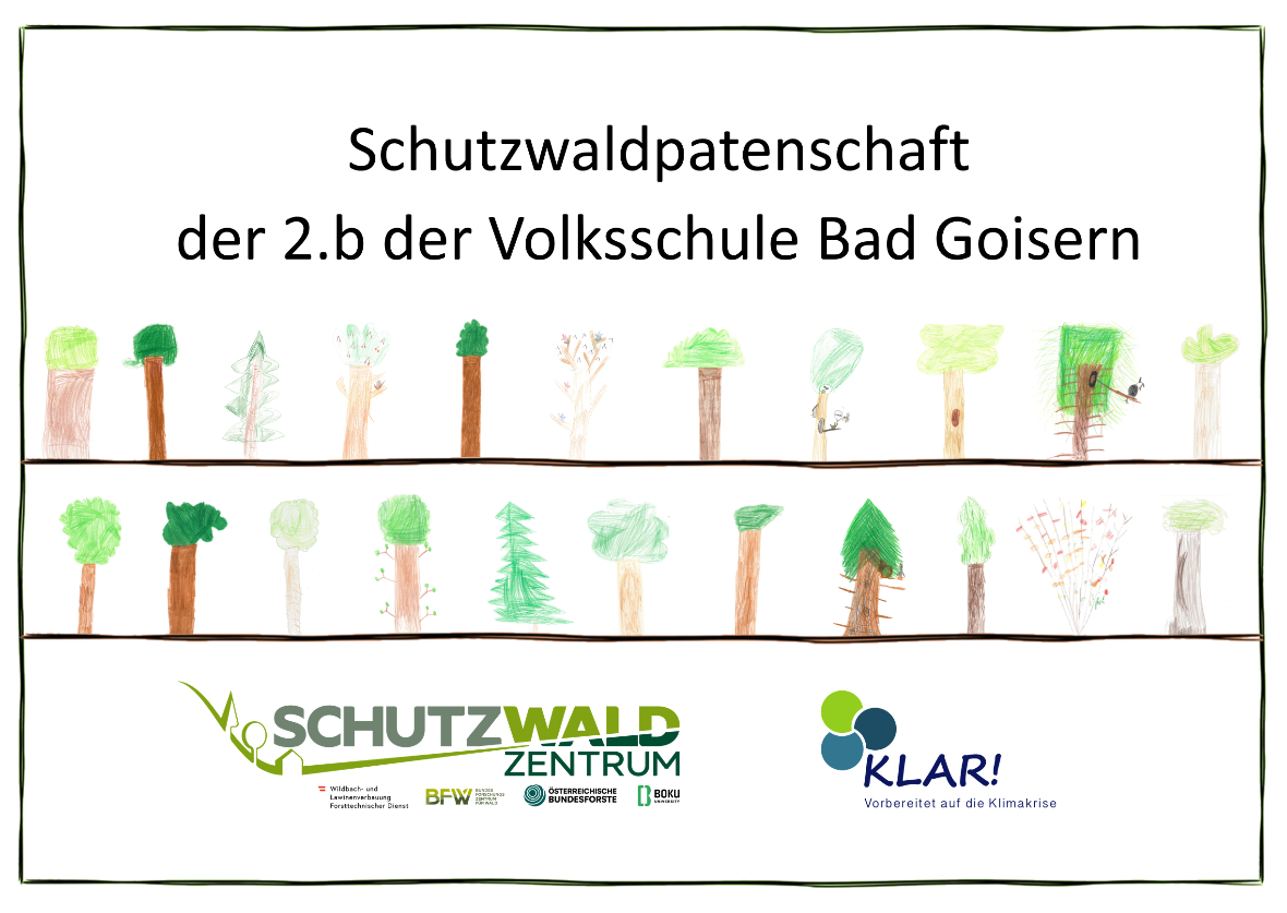 Schutzwaldpatenschaft VS Bad Goisern Schutzwaldpatenschaft VS Bad Goisern