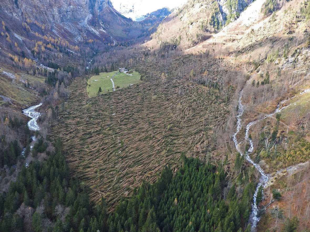 Herausforderungen im Schutzwald - Valentinalm Kärnten