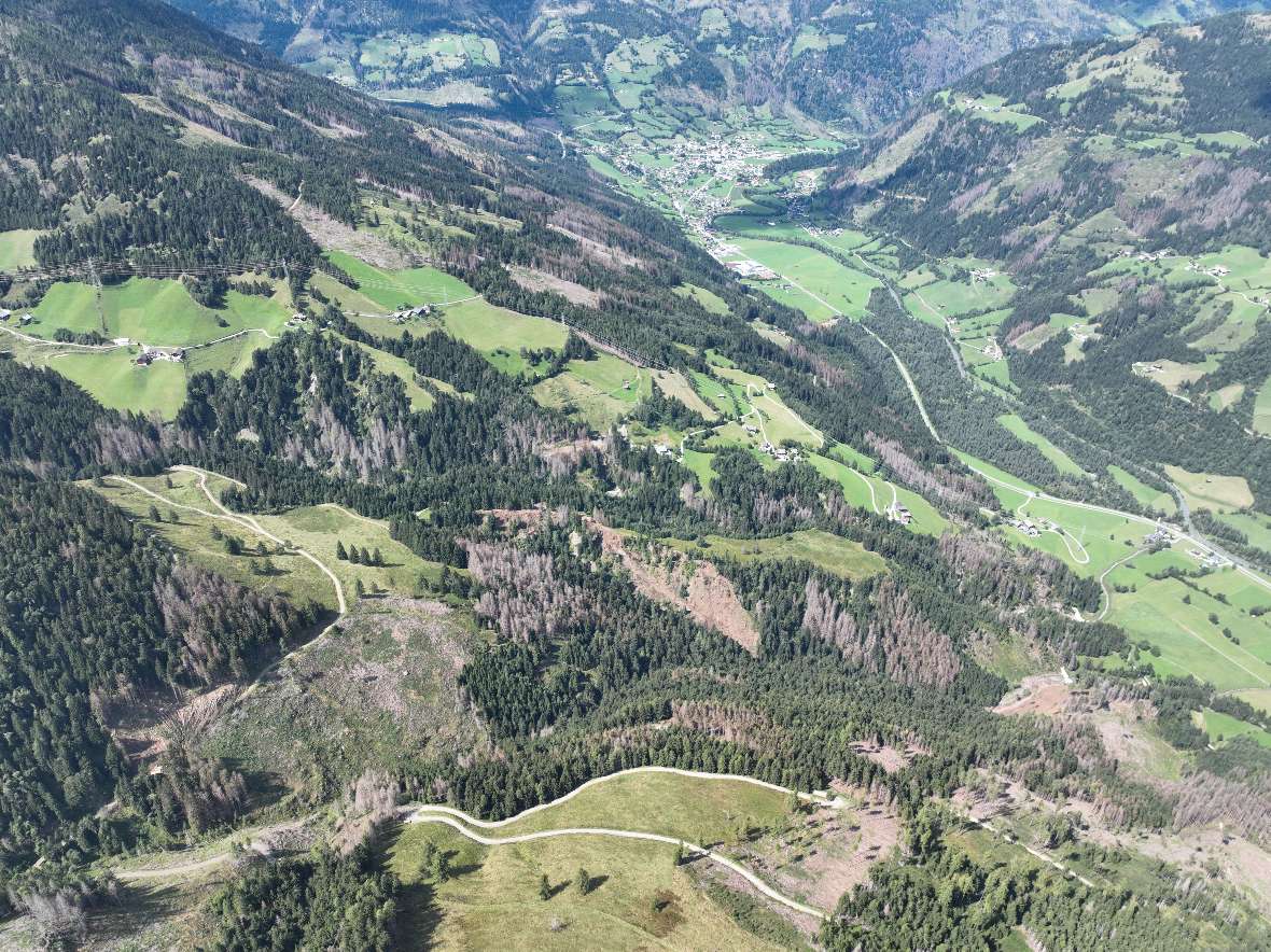 Herausforderungen im Schutzwald - Lesachtal Kärnten