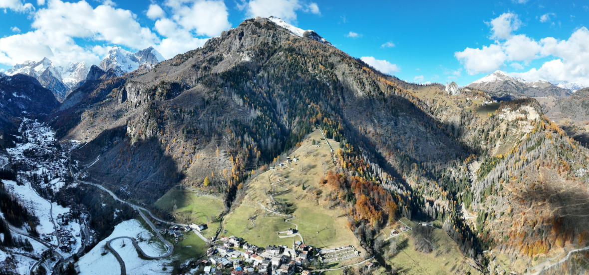 Schutzwälder 