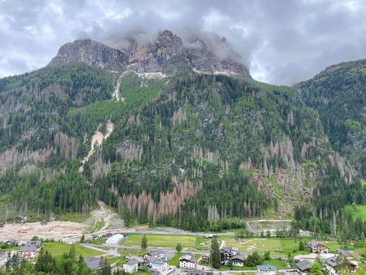 Wie verändern Klimawandel, Waldbrand, Windwurf und andere Störungen die Schutzwirkung von Wäldern im Alpenraum? 