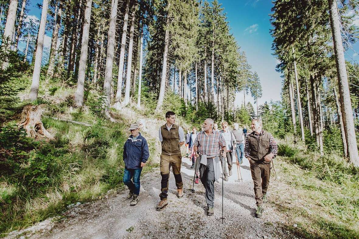 Aufenthalte im Wald haben große Bedeutung
