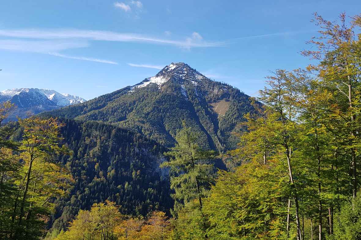 Modelleinzugsgebiet Rindbach