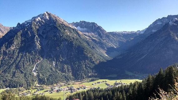 Schutzwald