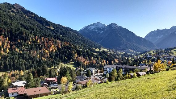 Schutzwald