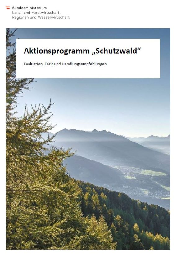 Aktionsprogramm Schutzwald