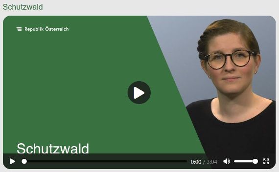 Informationen über den Schutzwald in österreichischer Gebärdensprache