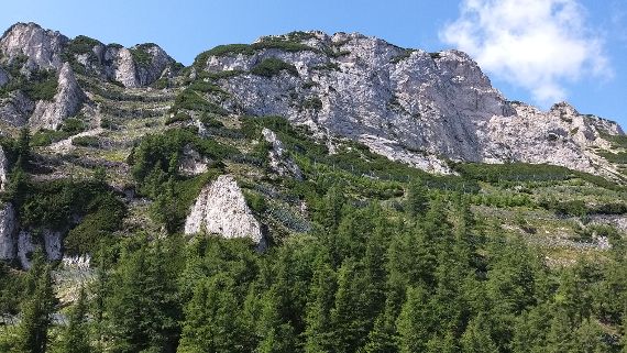 Schutzwald im Bezirk Bruck an der Mur