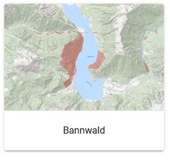 Kartendarstellung Bannwälder in Österreich