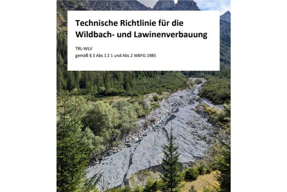  Technische Richtlinie für die Wildbach- und Lawinenverbauung 