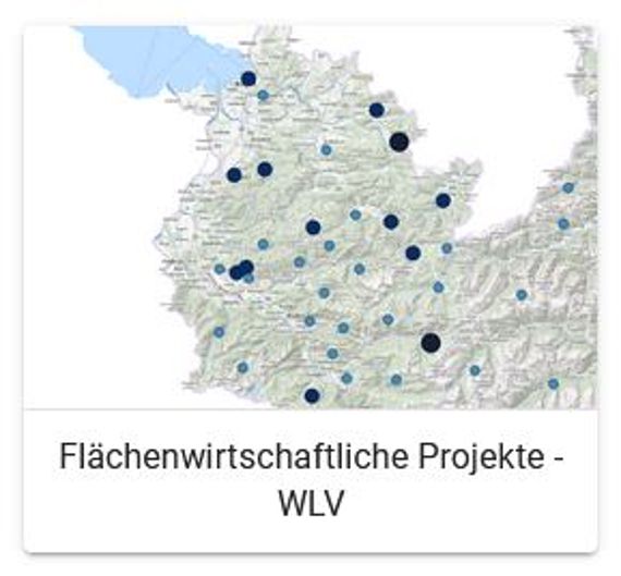 Flächenwirtschaftliche Projekte - WLV