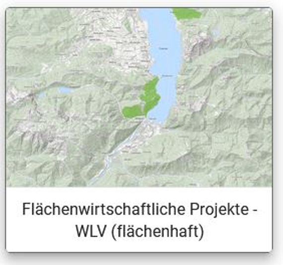 Darstellung der Flächenwirtschaftlichen Projekte der WLV als Flächenpolygon