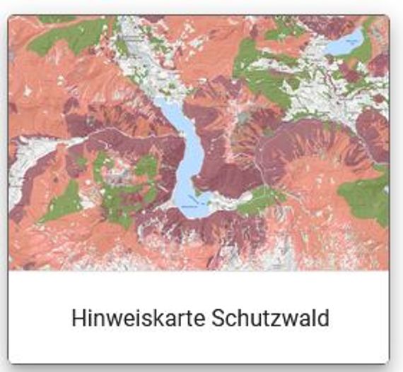 Darstellung der Hinweiskarte Schutzwald in Österreich