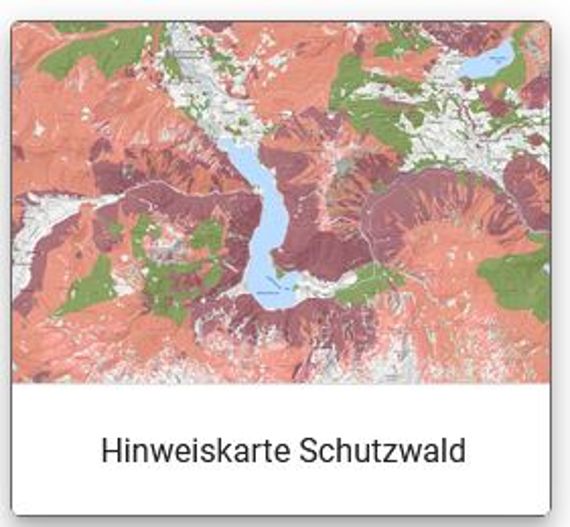 Darstellung der Hinweiskarte Schutzwald in Österreich