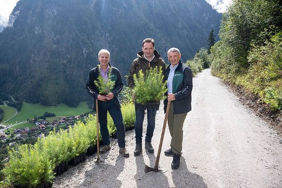 v.l.n.r.: ÖBf-Vorstand Andreas Gruber, Bundesminister Norbert Totschnig und ÖBf-Vorstandssprecher Georg Schöppl beim Schutzwald oberhalb der Ortschaft Ginzling im ÖBf-Forstrevier Hinteres Zillertal