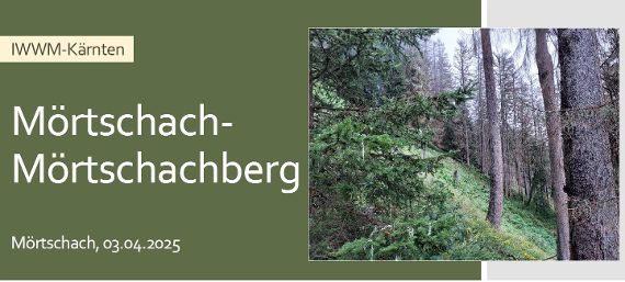 IWWM-Kärnten_Mörtschach_Präsentation