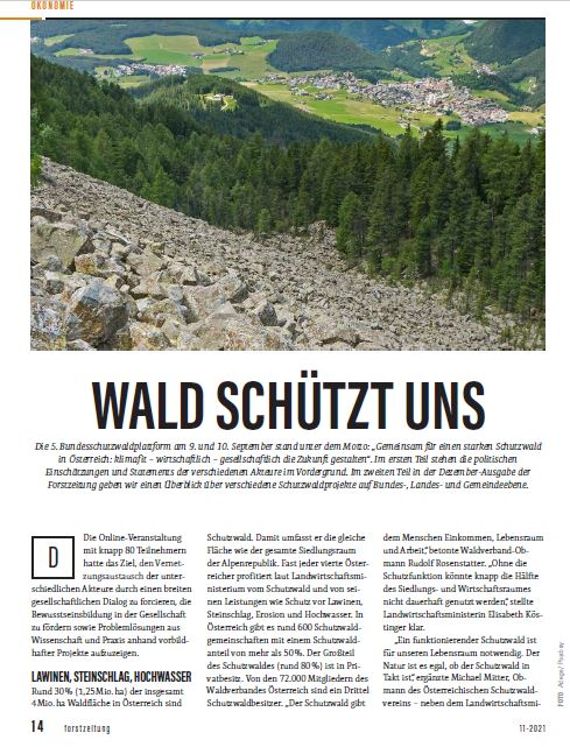 Forstzeitung_Artikel Bundesschutzwaldplattform_Ausgabe 11_2021