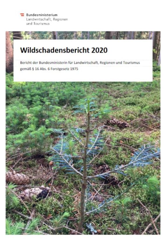 Wildschadensbericht 2020