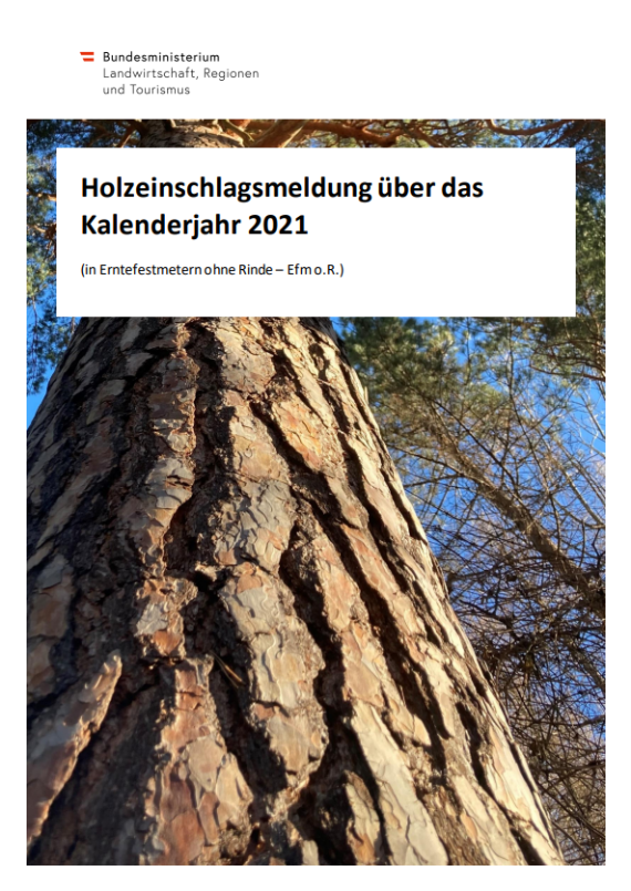 Titelbild der Holzeinschlagsmeldung über das  Kalenderjahr 2021