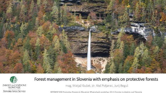Matjaz Gucek et all - Protective Forest management in Slovenia