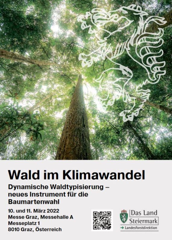 Wald im Klimawandel