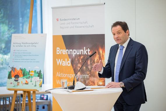 Pressekonferenz Brennpunkt Wald